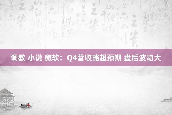 调教 小说 微软：Q4营收略超预期 盘后波动大