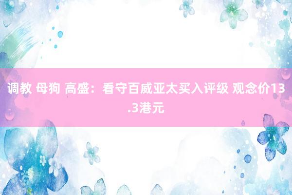 调教 母狗 高盛：看守百威亚太买入评级 观念价13.3港元