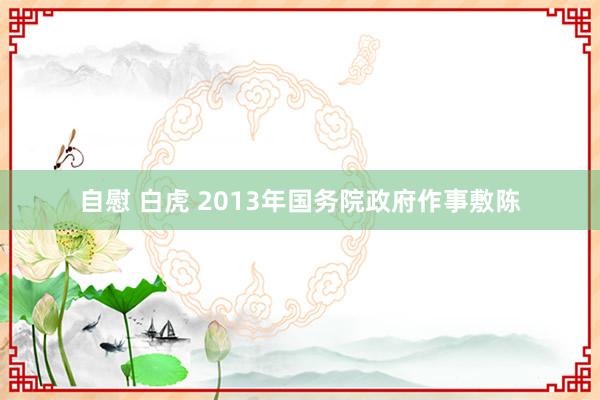 自慰 白虎 2013年国务院政府作事敷陈