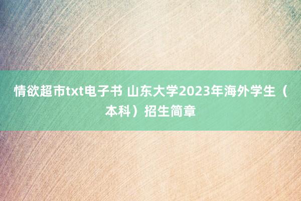 情欲超市txt电子书 山东大学2023年海外学生（本科）招生简章